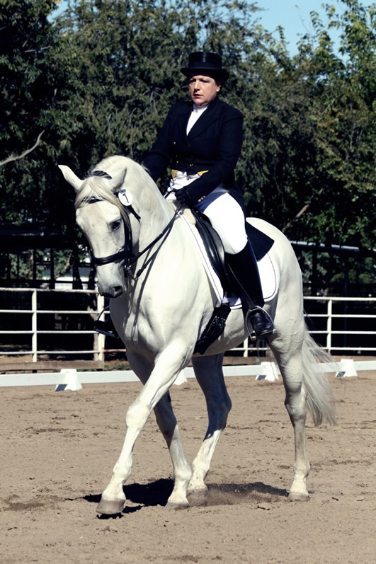 equinejournal